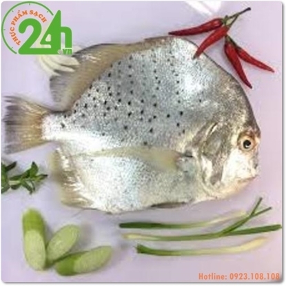 Picture of CÁ BÀN SA