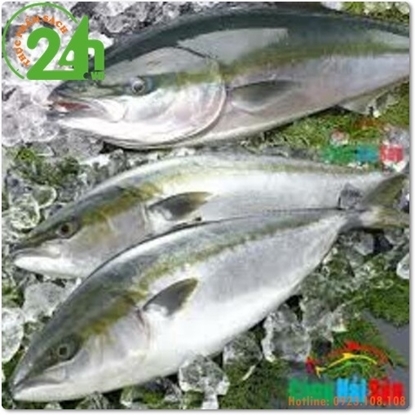 Picture of CÁ BÈ CAM