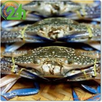 Picture of Ghẹ Xanh Sống (10 con 1kg)
